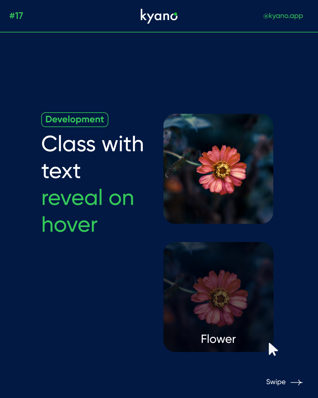 Text reveal on hover